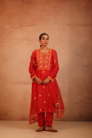 Red Organza Suit with Zari work
